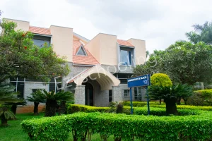 The International School Bangalore Gallery