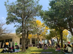 Stonehill International School Gallery