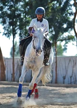 Ebenezer International School Gallery