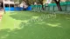 Lions English Medium School, Vidya Nagar, Hubballi School BuildingImage 2