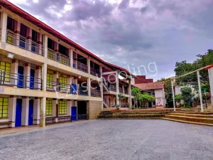 The Future Kid's School Gallery