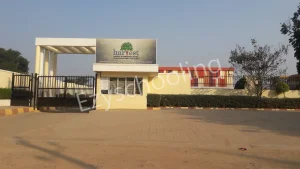 Harvest International School Gallery