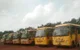 JSS Public School, Tapovan Nagar, Dharwad School BuildingImage 2