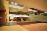 Vidhyashram Global School Gallery