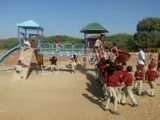 Thar School Thar School Gallery