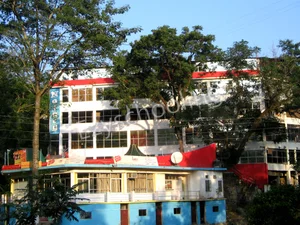 Naincy Convent School Gallery