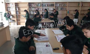 Delhi Public World School Gallery