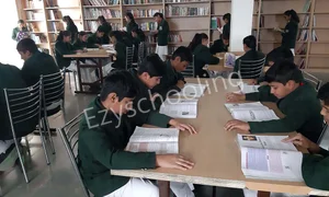 Delhi Public World School Gallery