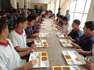 Ivy International School Gallery