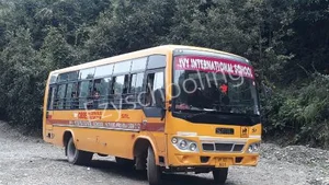 Ivy International School Gallery