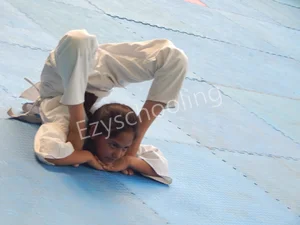 The Indian Cambridge School Gallery