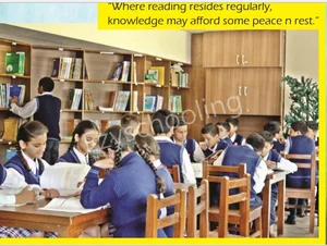 Ivy International School Gallery