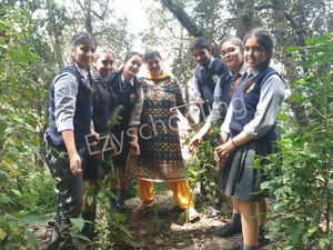 Laureate Public School Gallery