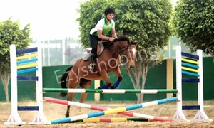Rishikul Vidyapeeth School Gallery
