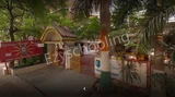 Carnival Public School Carnival Public School Gallery