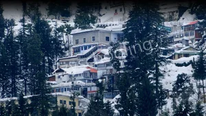 Guru Nanak Public School Gallery 0