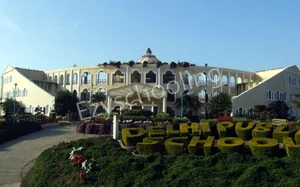 Delhi Public School Gallery 0