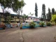 Kendriya Vidyalaya, Dapodi, Pune School BuildingImage 1