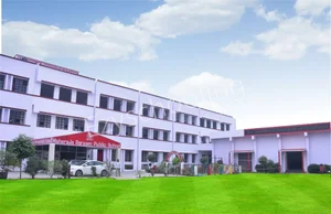 Maharaja Agrasen Public School Gallery 0