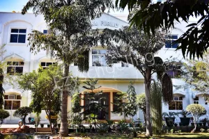 Sri Krishna Public School Gallery 0