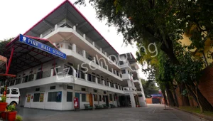 Pine Hall School Gallery 0