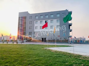 SN International School Gallery 0