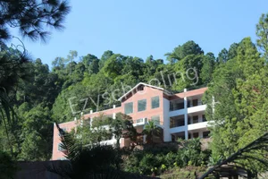 The Plenum School Gallery 0