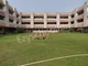 RPS School, Nalanda, Bihar Boarding School BuildingImage 1