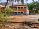 Atomic Energy Central School-5 Gallery