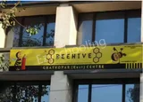 Beehive Preschool Beehive Preschool Gallery