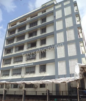 Rizvi Springfield High School Gallery 0