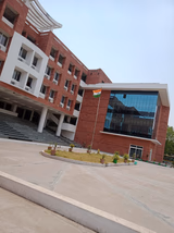 Viva The School Gallery