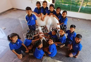 Amrutha Academy Gallery 6