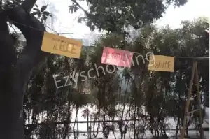 Metec International School Gallery 1