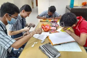 Hartley's High School Gallery 2