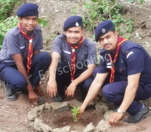 Sunflower Public School Gallery 2