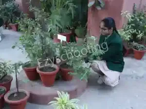 SNEH International School Gallery 6