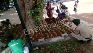 Cathedral High School Gallery 1