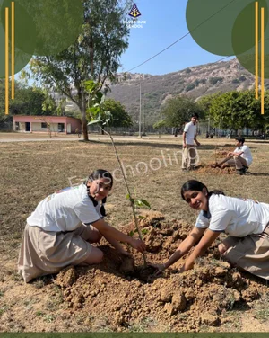 Silver Oak School Gallery 8