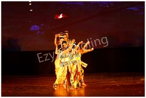 DLF Public School Gallery 17