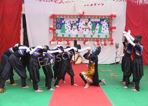 Vansthali Public School Gallery 5