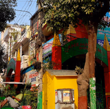 Shemrock Dove Gallery