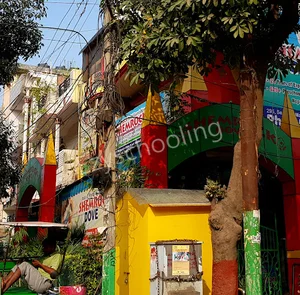 Shemrock Dove Gallery 1