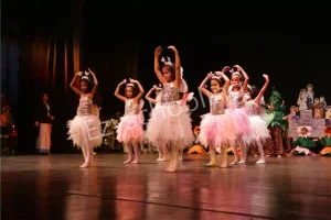 Aster Public School Gallery 18