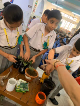 Happy English School Gallery