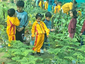 Kiddies Nursery School Gallery 11