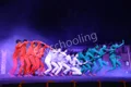 Sant Kishori Sharan Vidya Mandir Gallery