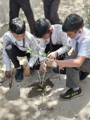 The Earth Paradise School Gallery 17