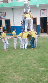 V.N Public School Gallery