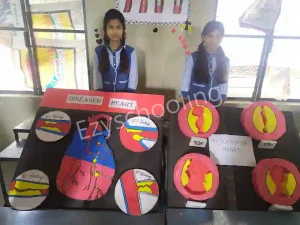 Vps Public School Gallery 16